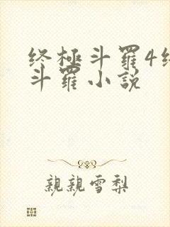 终极斗罗4终极斗罗小说封面