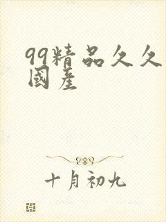 99精品久久久国产