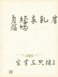 月经来乳房会胀痛吗