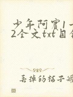 少年阿宾1一72全文txt目录