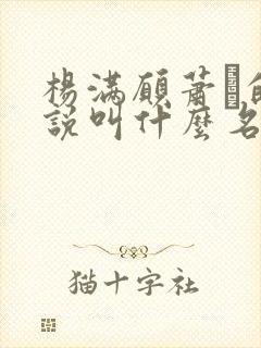 杨满愿萧琂的小说叫什么名字