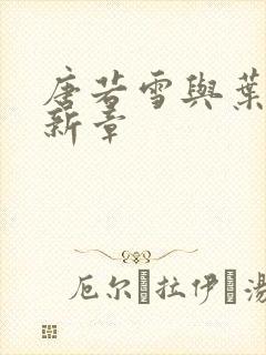 唐若雪与叶凡最新章