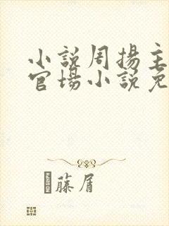 小说周扬主角的官场小说免费阅读