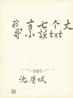 我有七个大佬哥哥小说txt