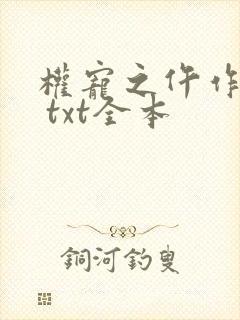 权宠之仵作医妃 txt全本