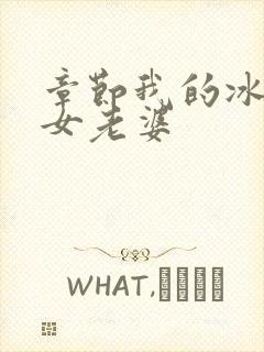 章节我的冰山美女老婆