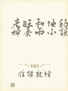 老旺和他的儿媳妇秦雨小说