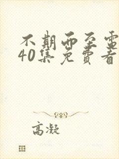 不期而至电视剧40集免费看锦心似玉封面