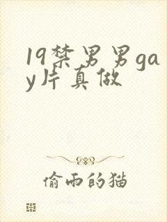 19禁男男gay片真做封面