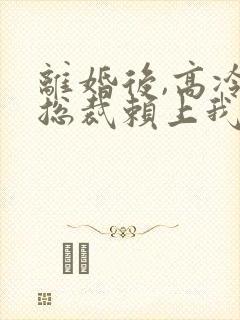 离婚后,高冷女总裁赖上我全本