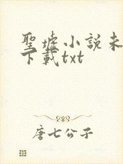 圣墟小说未删版下载txt