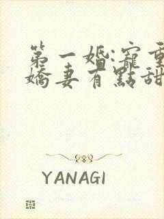 第一婚:宠重生娇妻有点甜