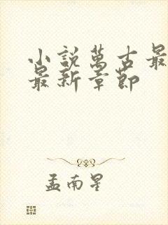 小说万古最强宗最新章节封面