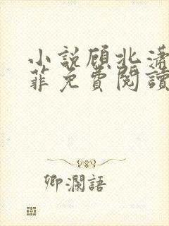 小说顾北潇林雨菲免费阅读