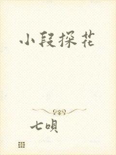 小段探花封面