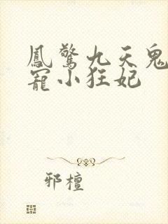 凤惊九天鬼帝溺宠小狂妃