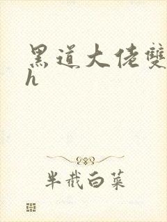 黑道大佬双性受h