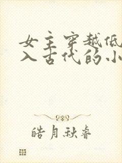 女主穿越低调融入古代的小说