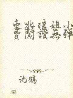 东北浪姐小说免费阅读无弹窗封面