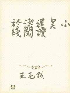 于洁迟昊小说在线阅读