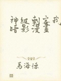 神级刺客我即是暗影漫画