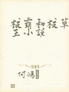 校霸和校草双男主小说封面