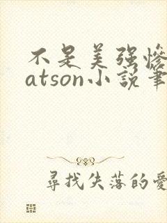 不是美强惨是batson小说笔趣阁封面