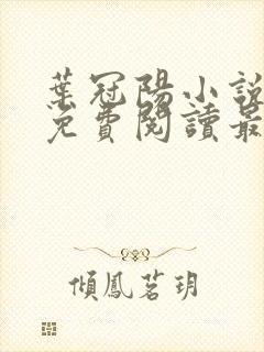 叶冠阳小说全文免费阅读最新章节