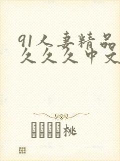 91人妻精品久久久久中文字幕