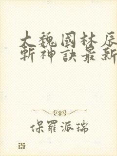 大魏国林辰九天斩神诀最新章节封面
