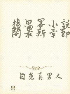 杨思幂小说笔趣阁最新章节