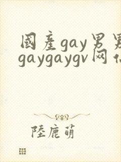 国产gay男男gaygaygv网站