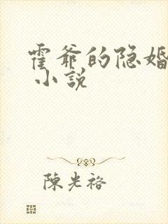 霍爷的隐婚罪妻 小说封面