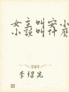 女主叫安小暖的小说叫什么名字封面