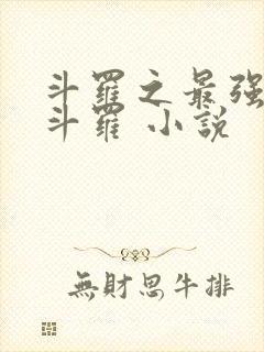 斗罗之最强本体斗罗 小说封面