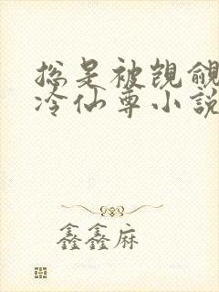 总是被觊觎的清冷仙尊小说免费阅读封面