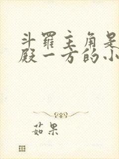 斗罗主角是武魂殿一方的小说