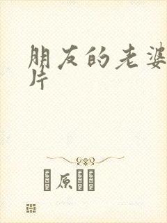 朋友的老婆伦理片