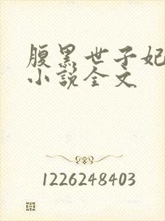 腹黑世子妃日常小说全文封面