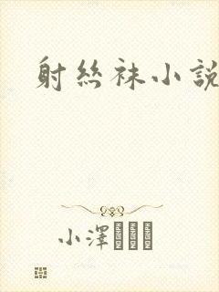 射丝袜小说封面