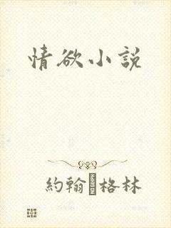 情欲小说封面