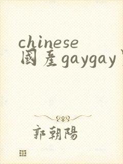 chinese国产gaygay男男网站