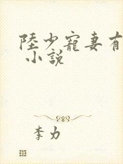 陆少宠妻有点甜 小说