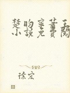 楚昀宁萧王穿越小说免费阅读无弹窗