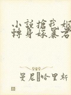 小说抢我姻缘?转身嫁暴君夺后位免费