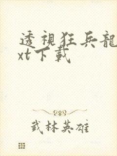 透视狂兵龙王txt下载