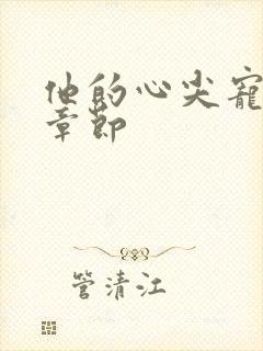 他的心尖宠最新章节