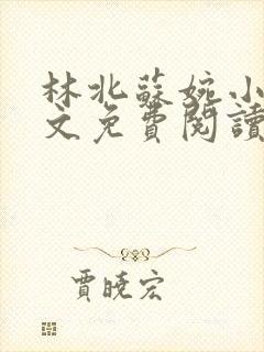 林北苏婉小说全文免费阅读最新杨辰