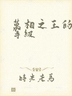 万相之王的境界等级