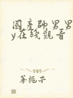 国产帅男男gay在线观看封面